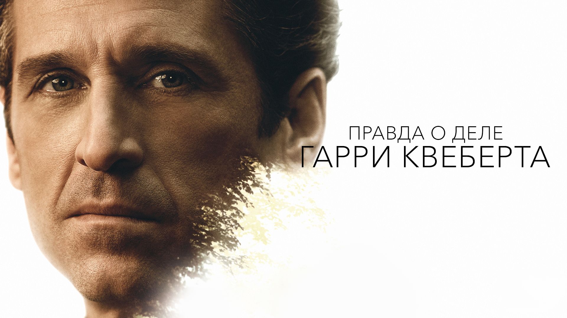 Сериал Правда о деле Гарри Квеберта (2018)  / The Truth About the Harry Quebert Affair
